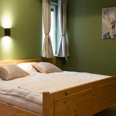 In - Out Nem Alpin Schladming