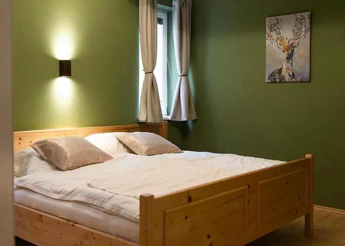 In - Out Nem Alpin Schladming